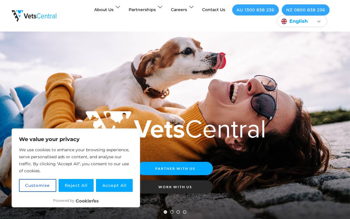 Vets Central website preview