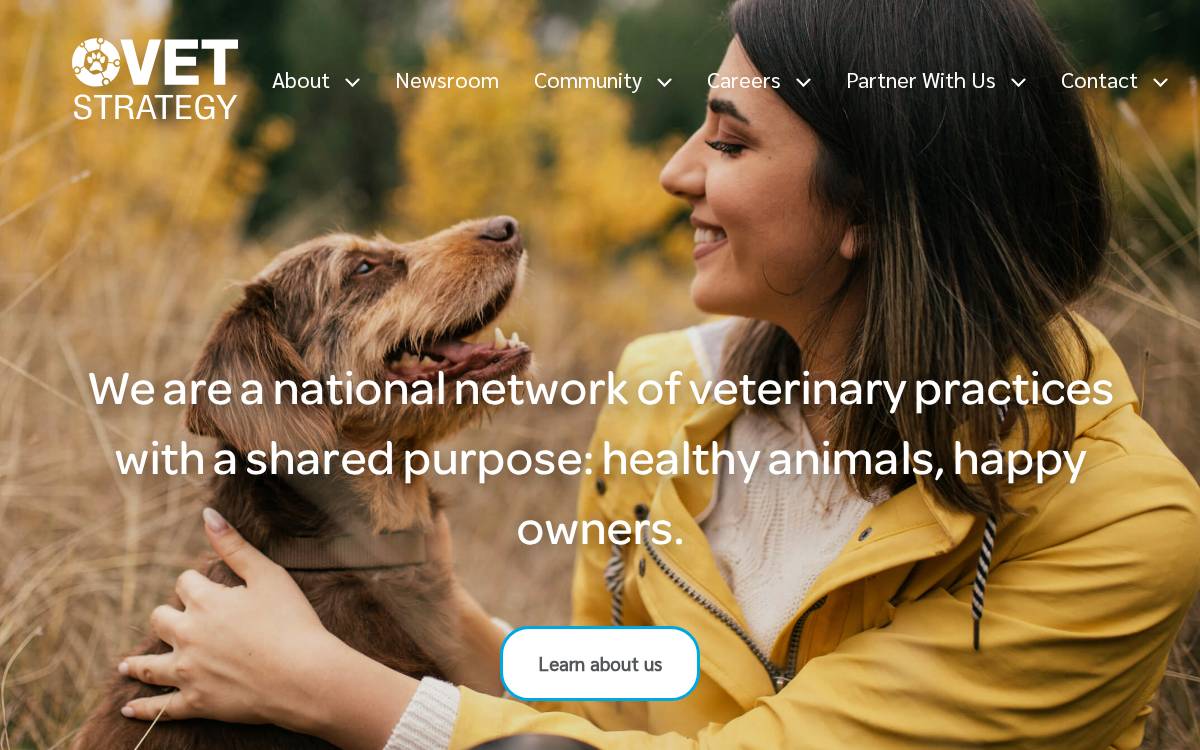 VetStrategy website preview