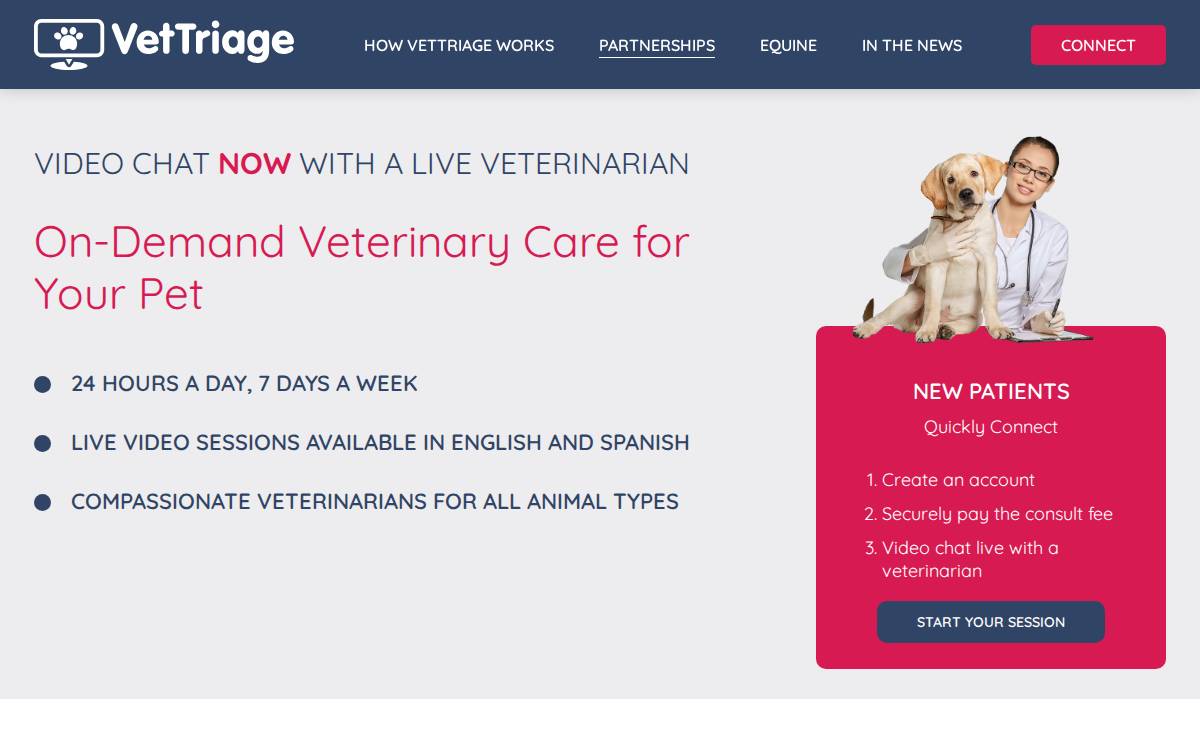 VetTriage website preview