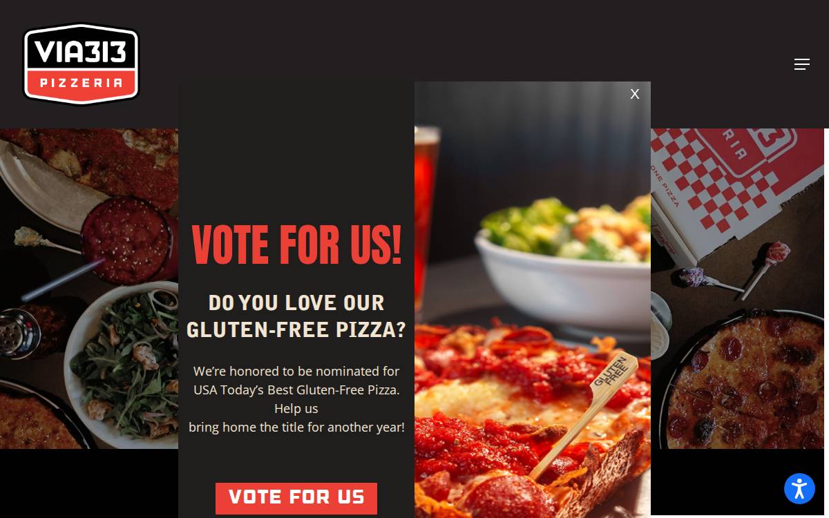 Via 313 Pizzeria website preview