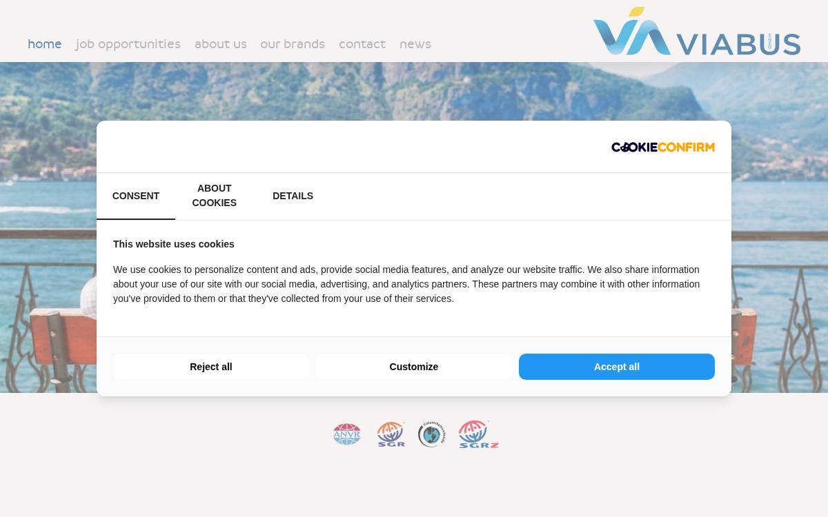 Viabus website preview