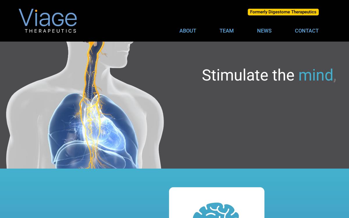 Viage website preview