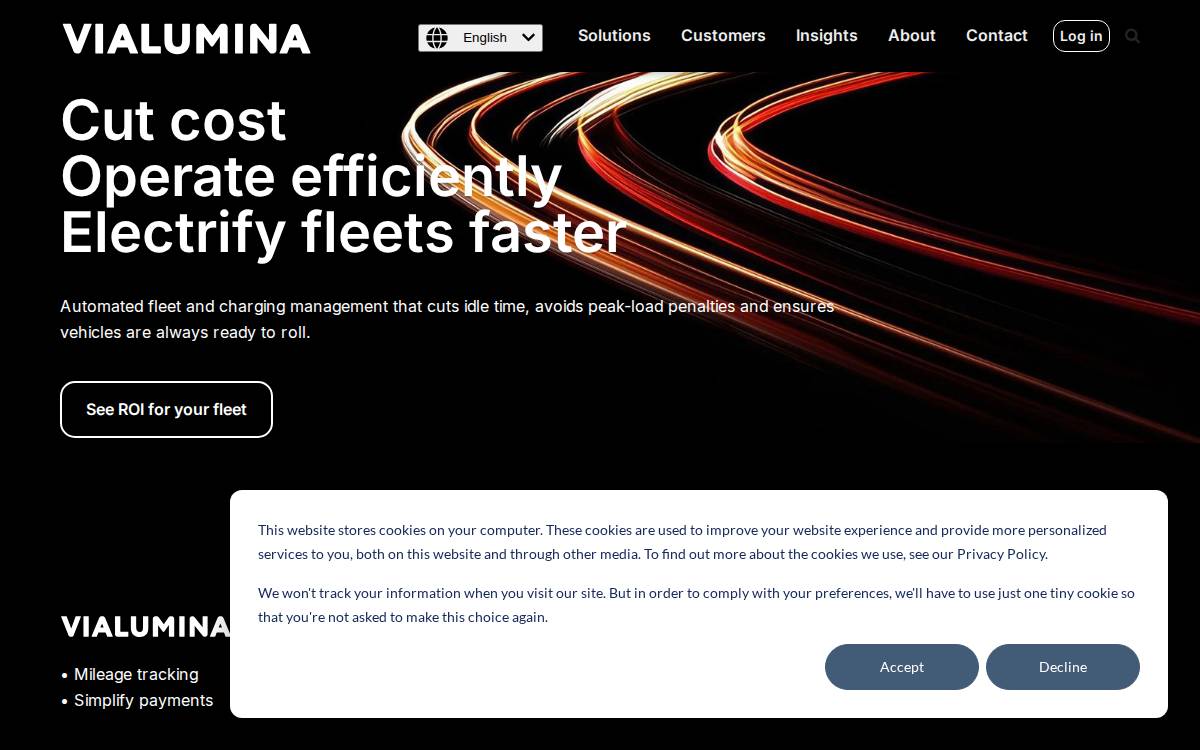 Vialumina website preview