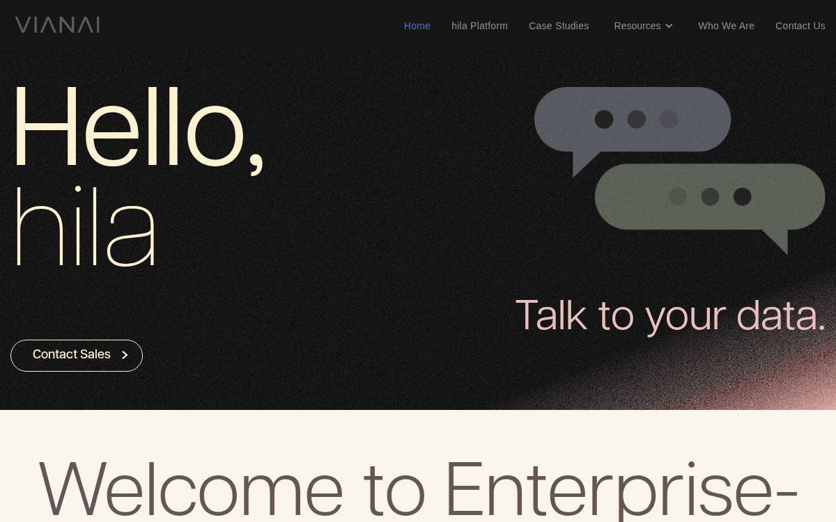 Vianai Systems website preview