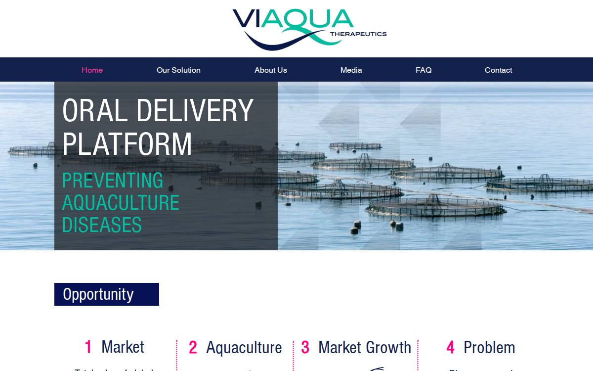 ViAqua website preview