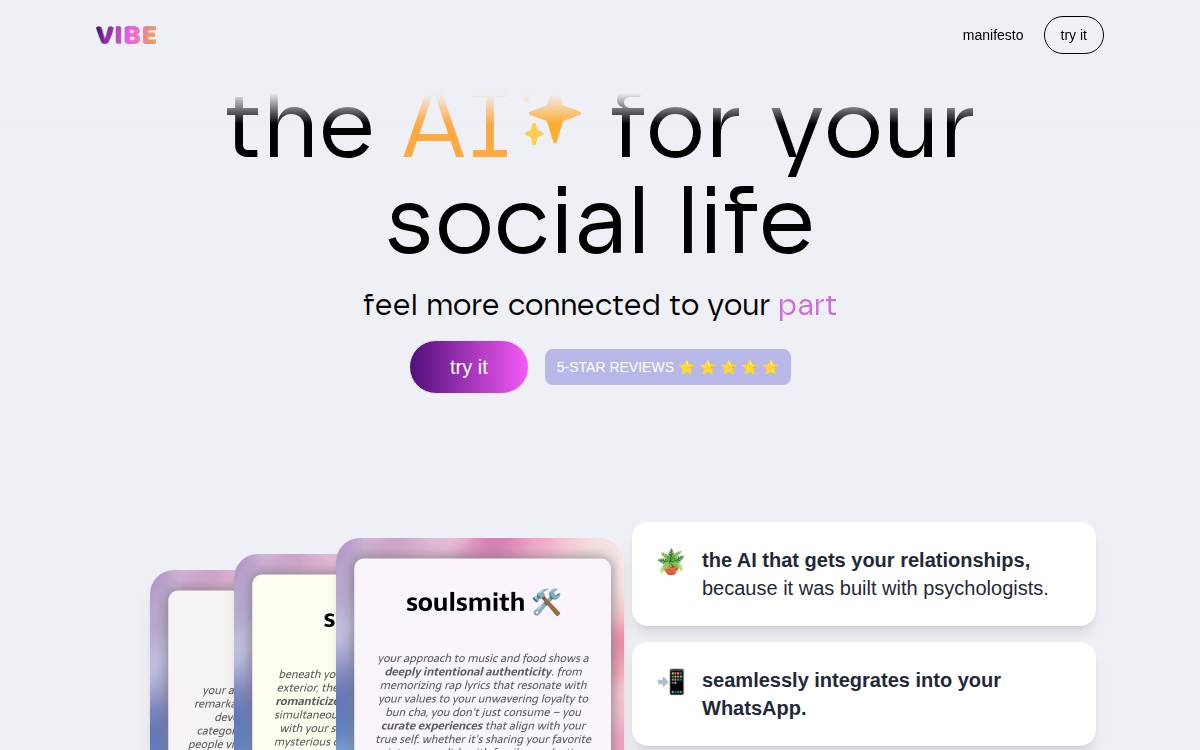 Vibe website preview