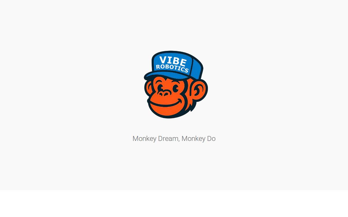 Vibe Robotics website preview