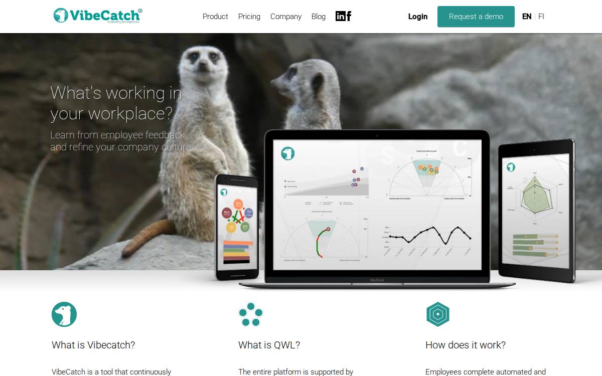 VibeCatch website preview