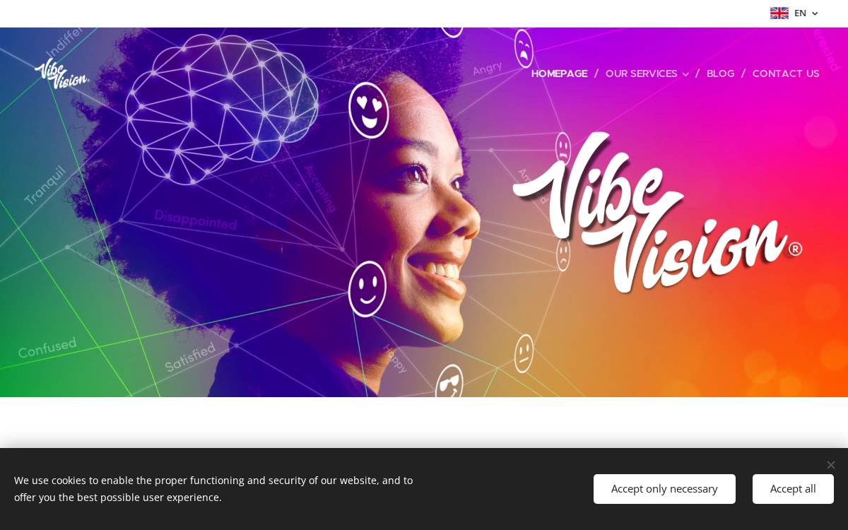 Vibevision website preview