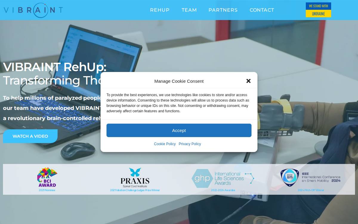 Vibraint website preview