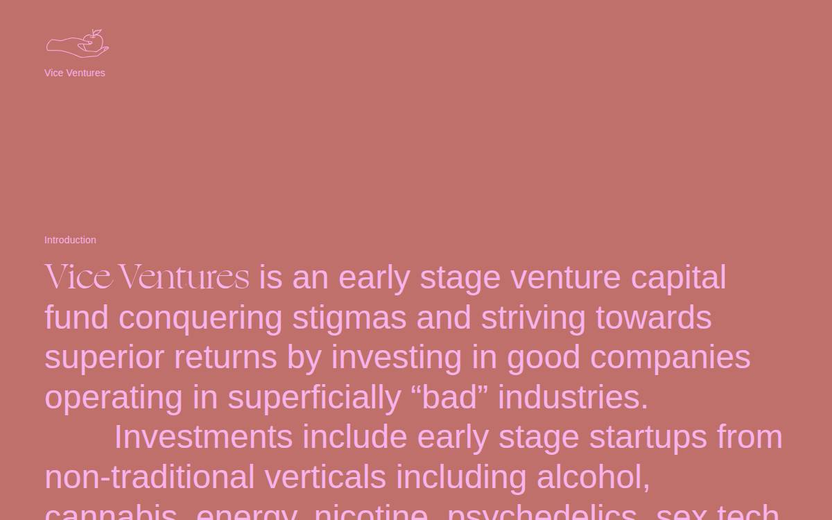 Viceventures website preview