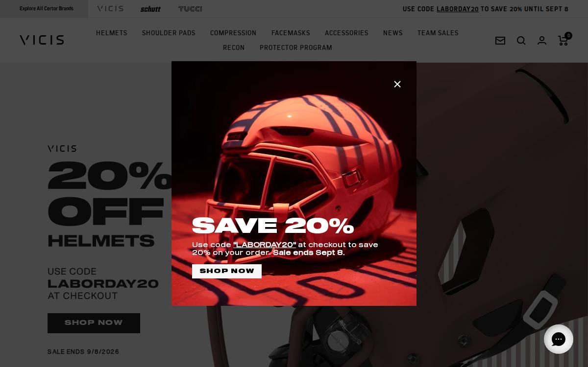 Vicis website preview