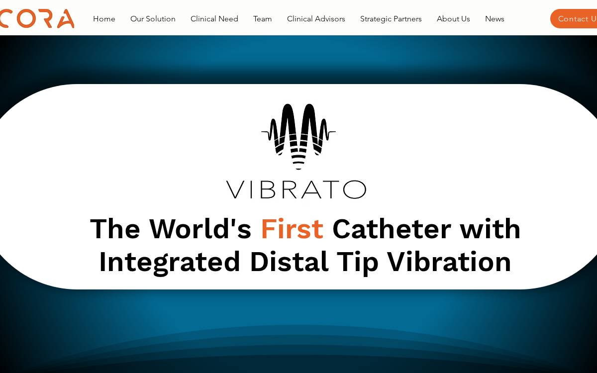 Vicora website preview
