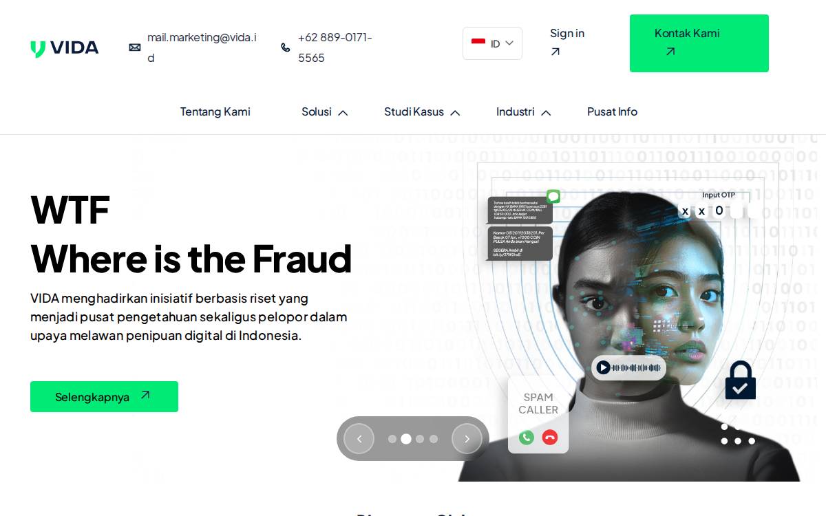 Vida website preview