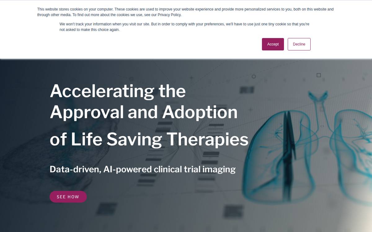 Vida Lung website preview