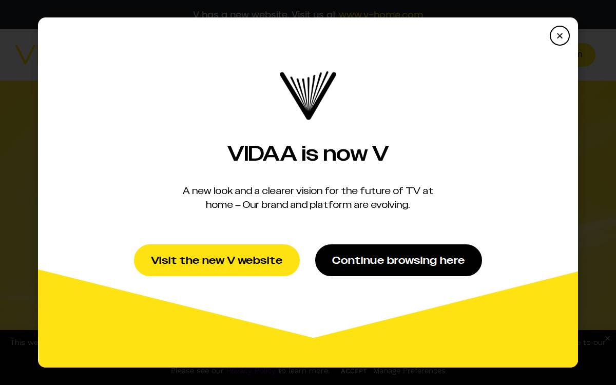 VIDAA website preview