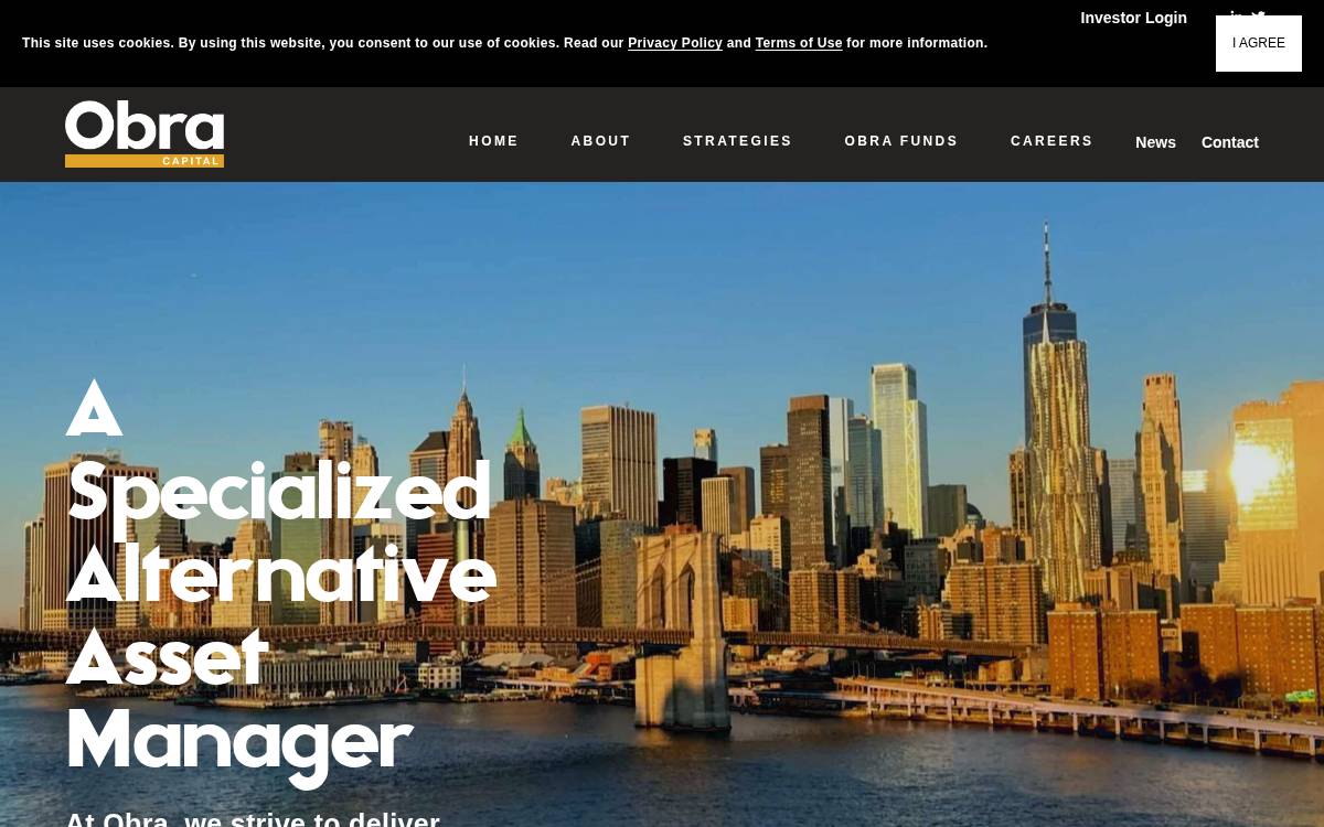 Vidacapitalinc website preview