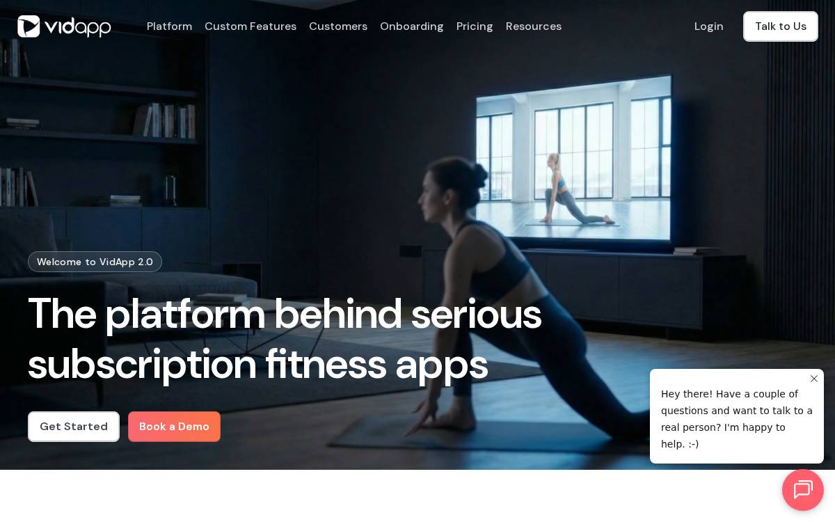 Vidapp website preview