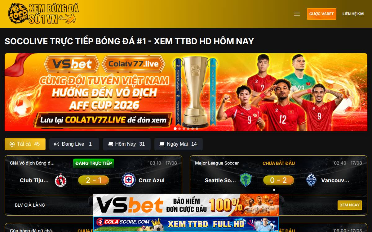 Viddy website preview