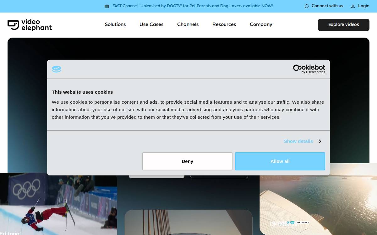 VideoElephant website preview