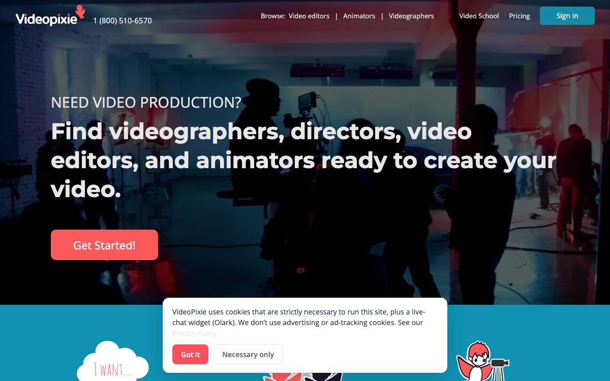 Videopixie website preview