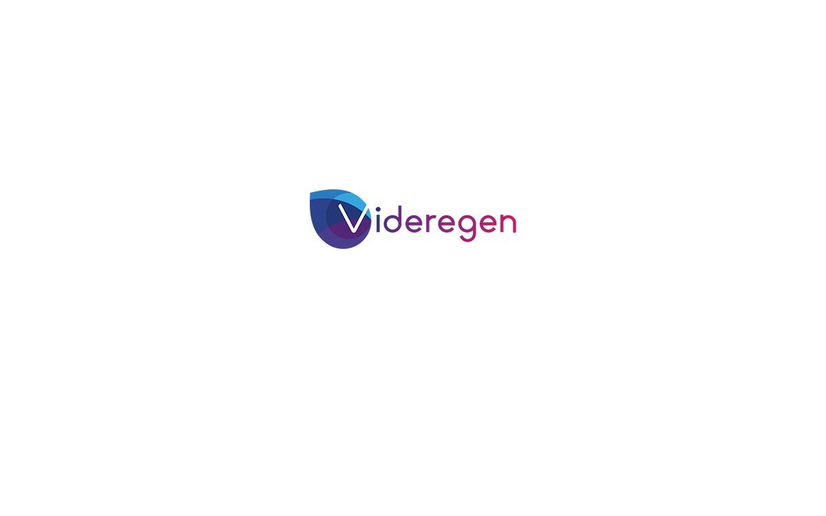 Videregen website preview