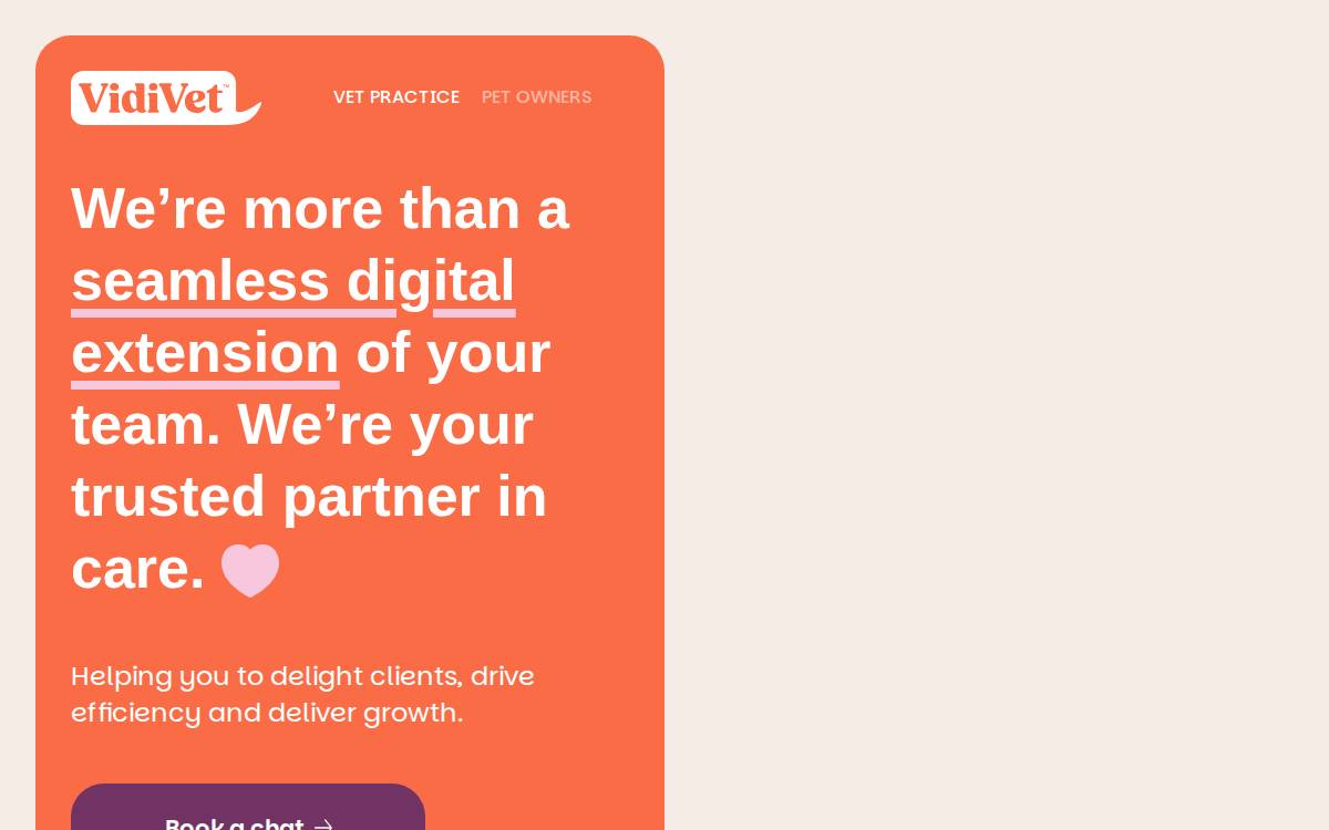 Vidivet website preview