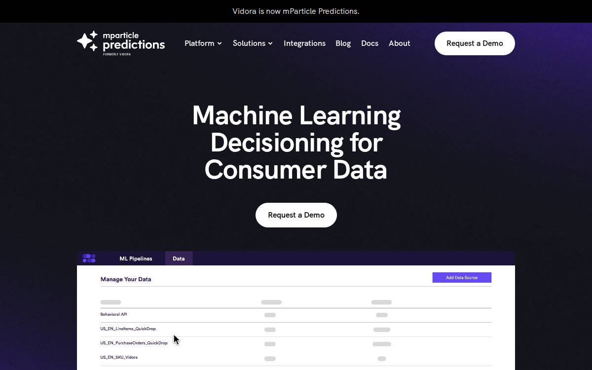 Vidora website preview