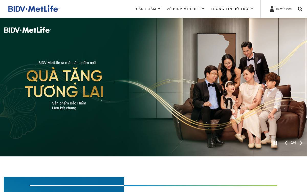 Vietnam website preview