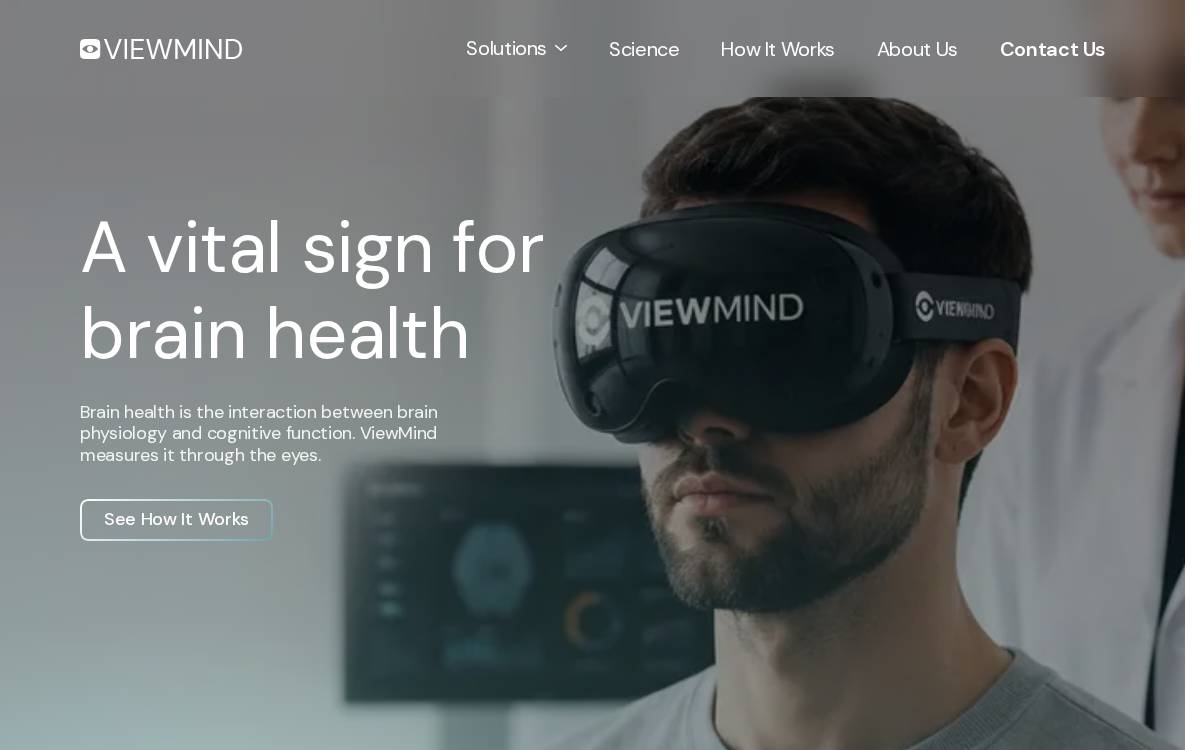 ViewMind website preview