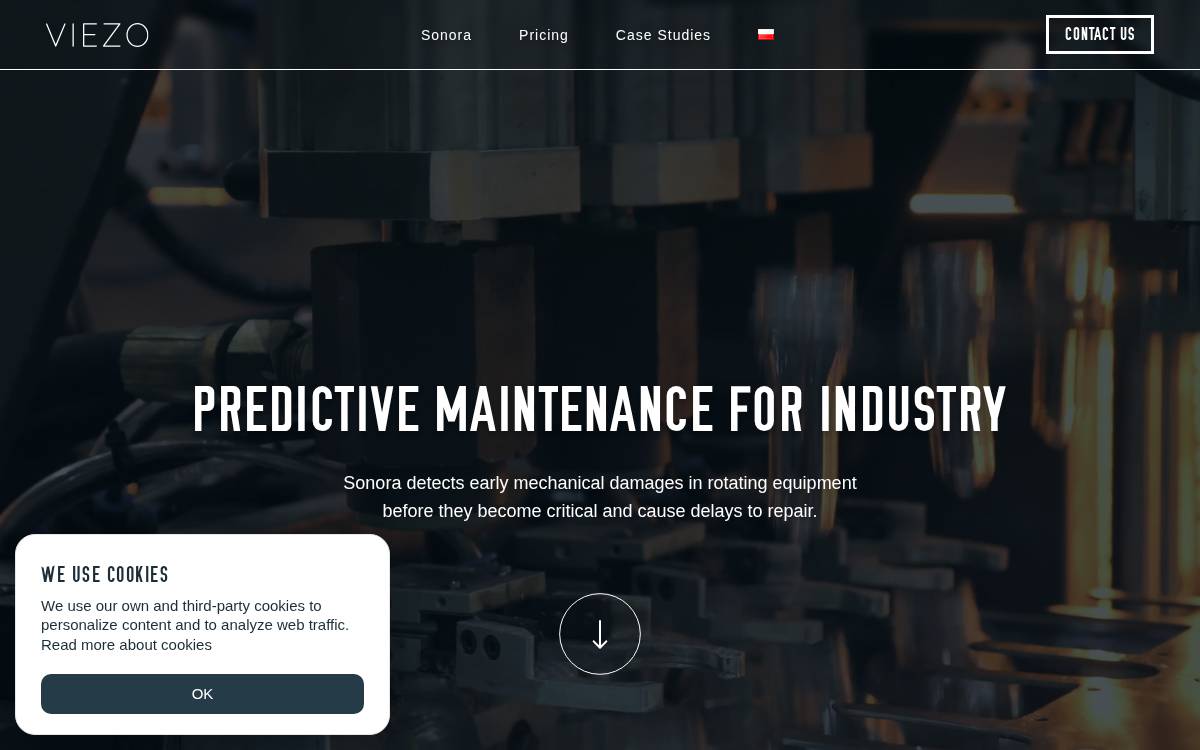 Viezo website preview