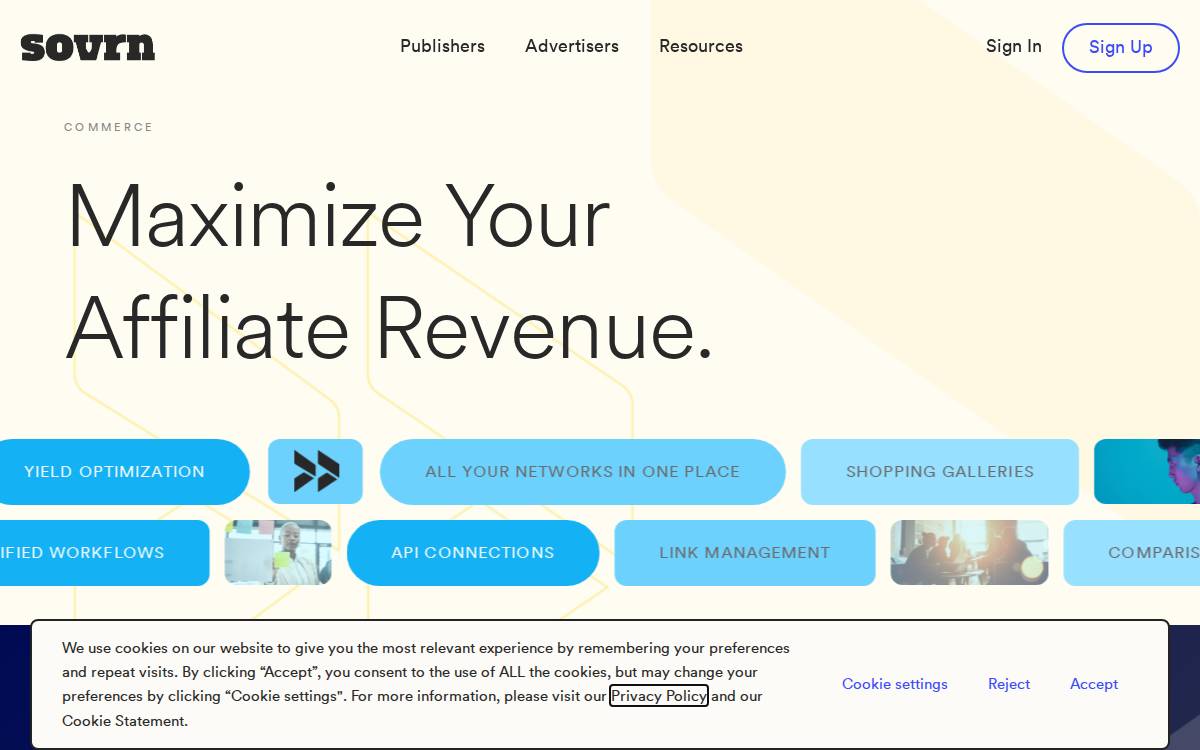 Viglink website preview