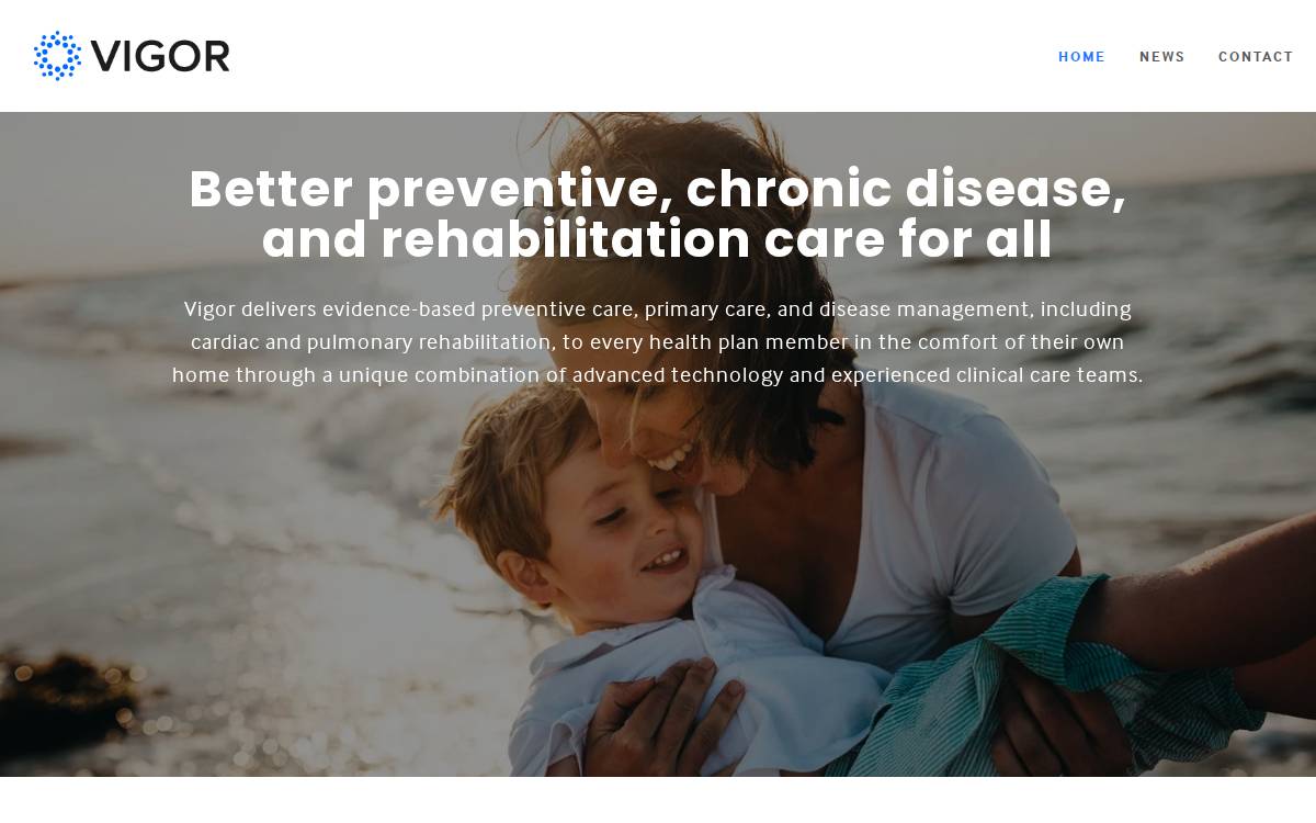 Vigor website preview