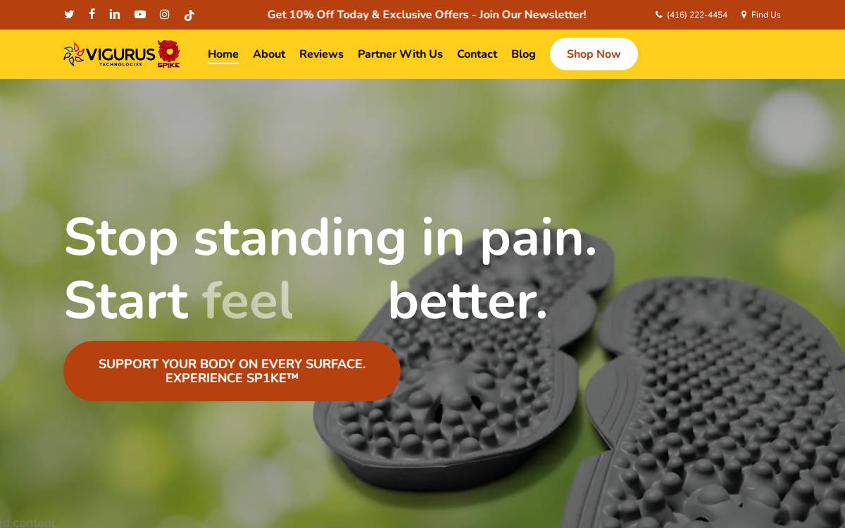 Vigurus Technologies Inc. Website website preview