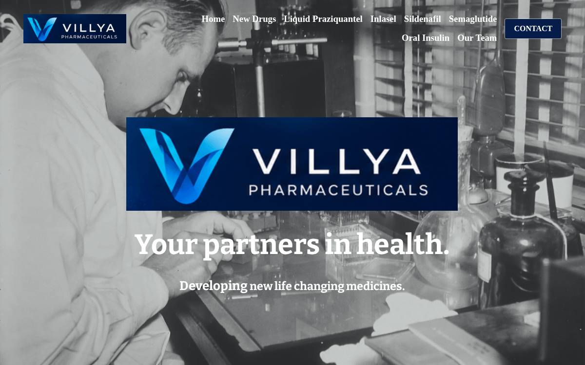Villya website preview