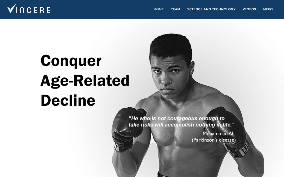 Vincerebio website preview