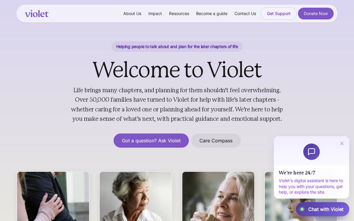 Violet website preview
