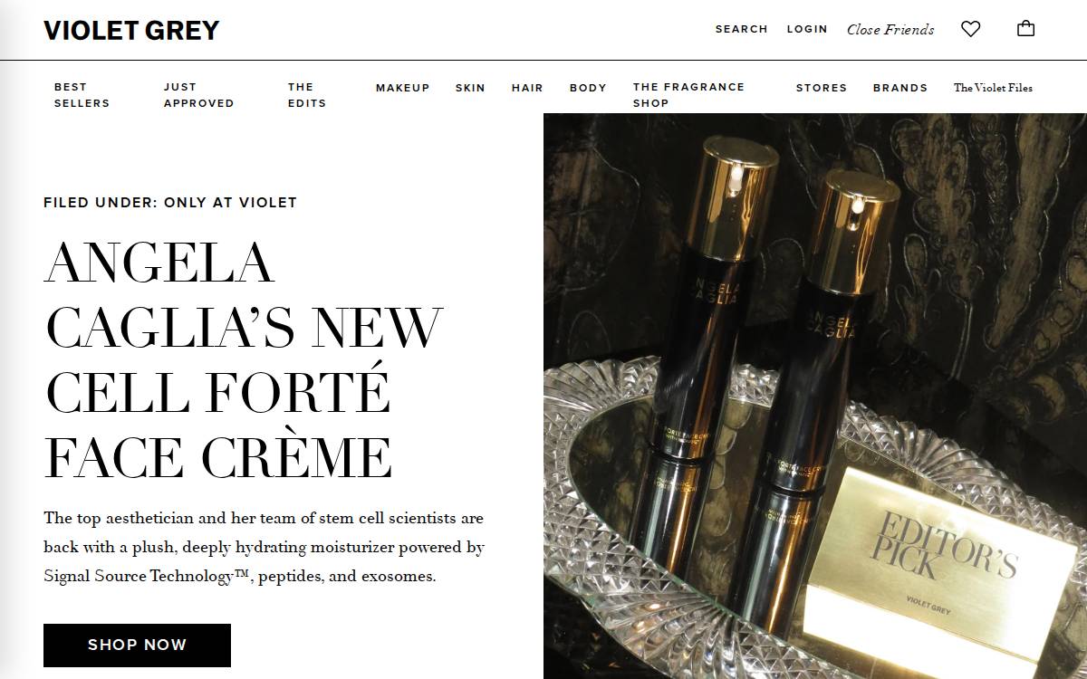 Violet Grey website preview