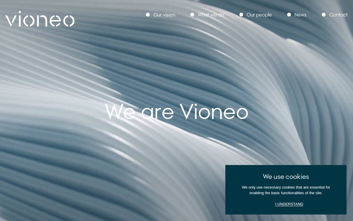 Vioneo website preview
