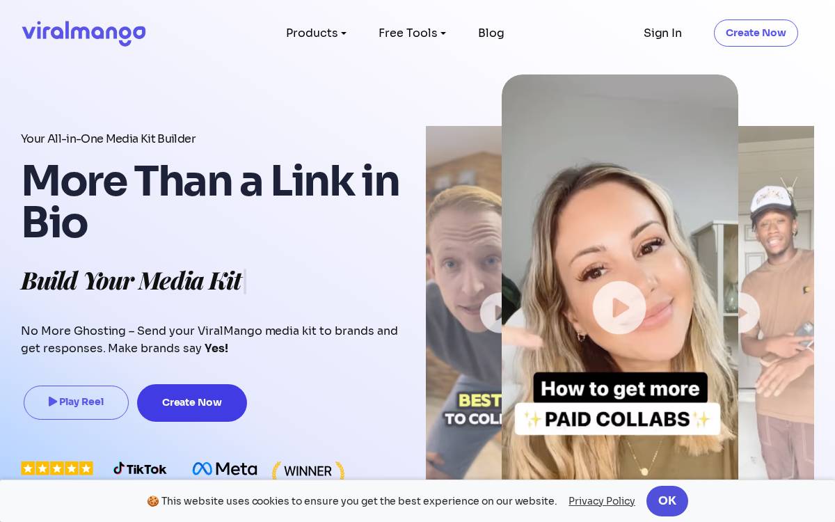 Viralmango website preview