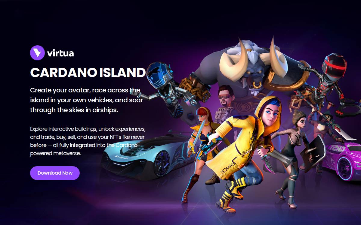 Virtua website preview