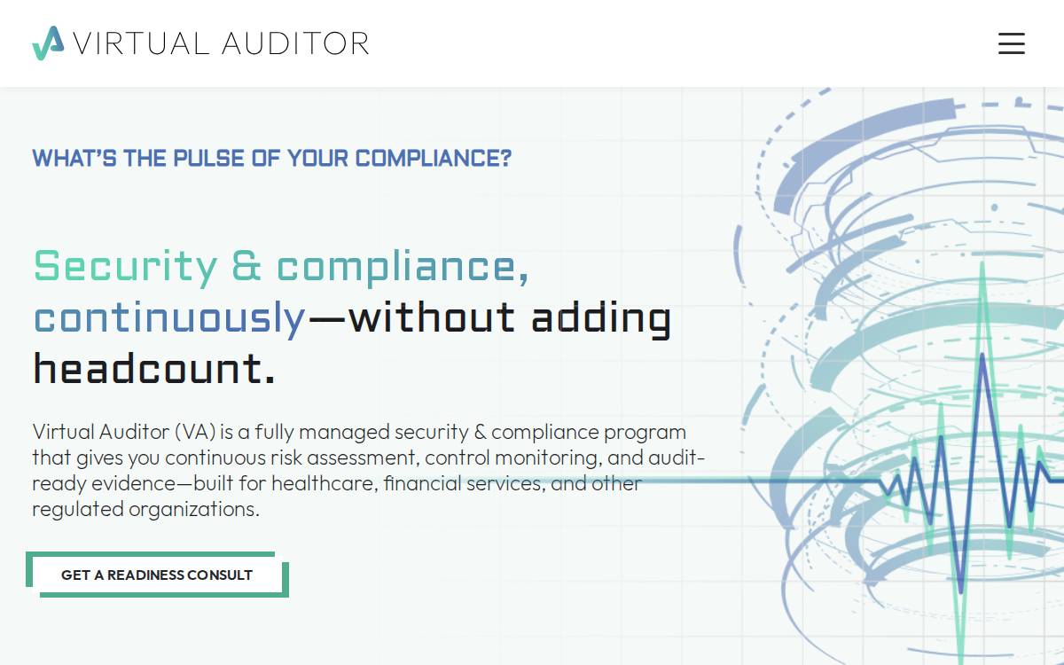 Virtual Auditor website preview