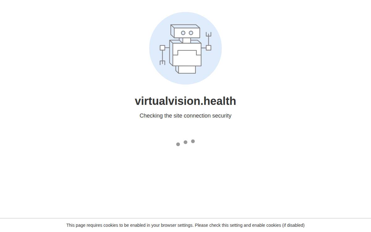 Virtual Vision website preview