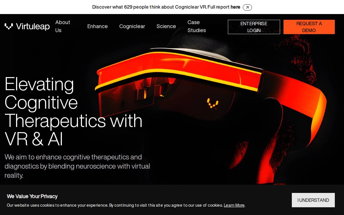 Virtuleap website preview