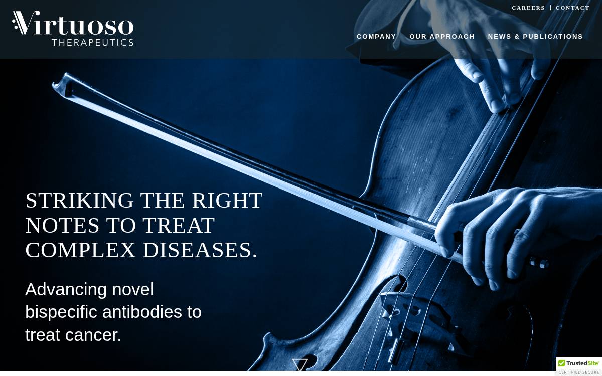 Virtuoso Therapeutics, Inc. website preview
