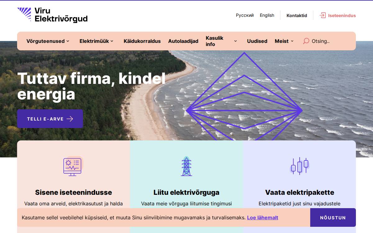 Viru Elektrivõrgud website preview