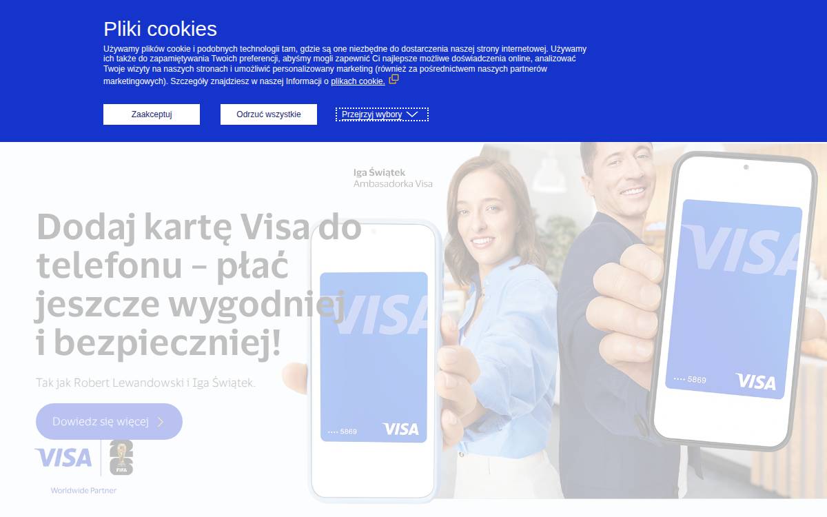 Visa website preview