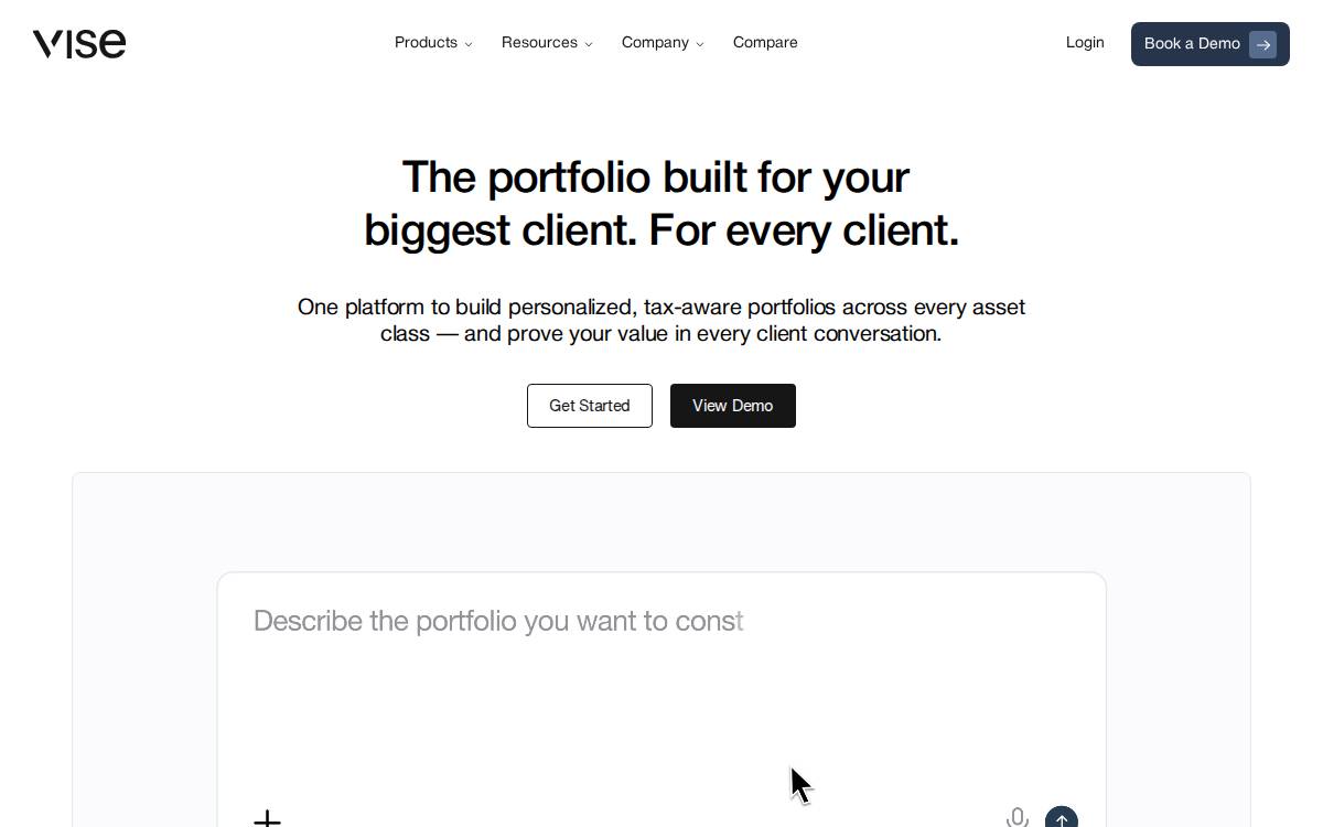 Vise AI website preview