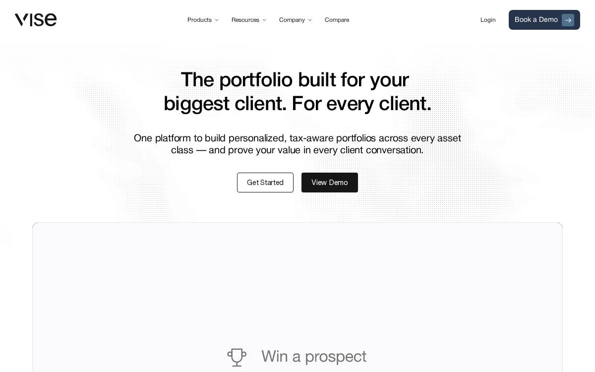 Vise website preview