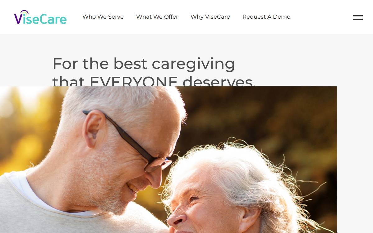 Visecare website preview
